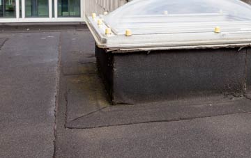 disadvantages of Daneshill flat roofs