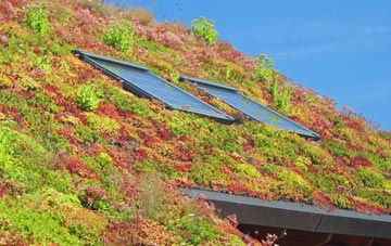Daneshill living roof systems