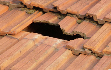 roof repair Daneshill, Hampshire