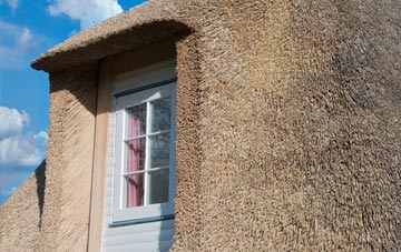 Daneshill thatch roof disadvantages