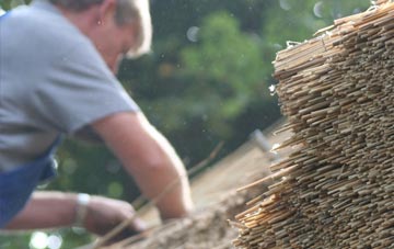 professional Daneshill thatchers